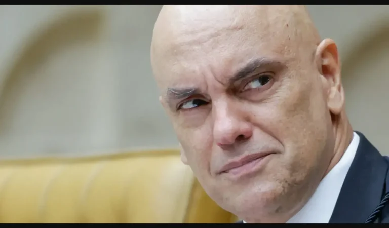 Formato-Gazeta-97-dwlg6s