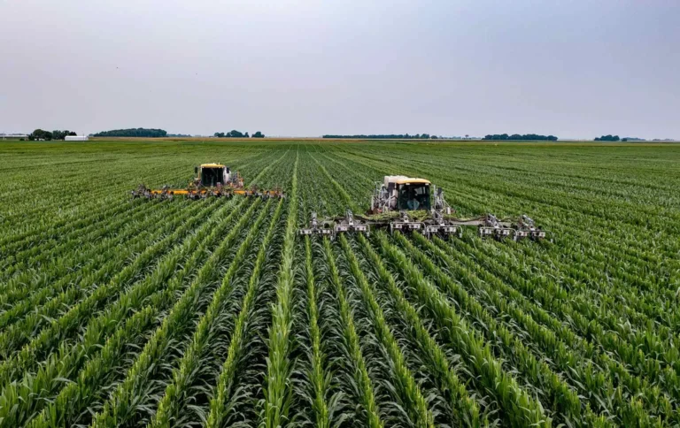 Inteligencia-Artific-lj3ntk