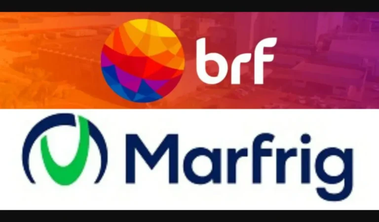 SEM-NOME-48-1-f2uypz