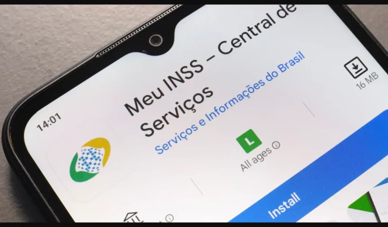 inss-1743622410842-vag5ij