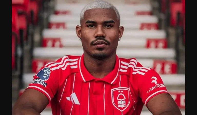 d831ae63-8731-478b-8-sq2zf8